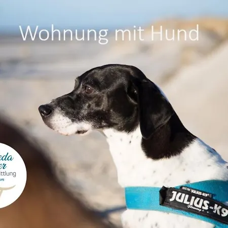 Daire Haus Jungnamen Whg. 4 *